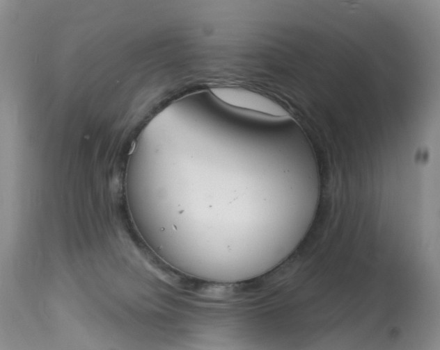 X0000113100084200909111102