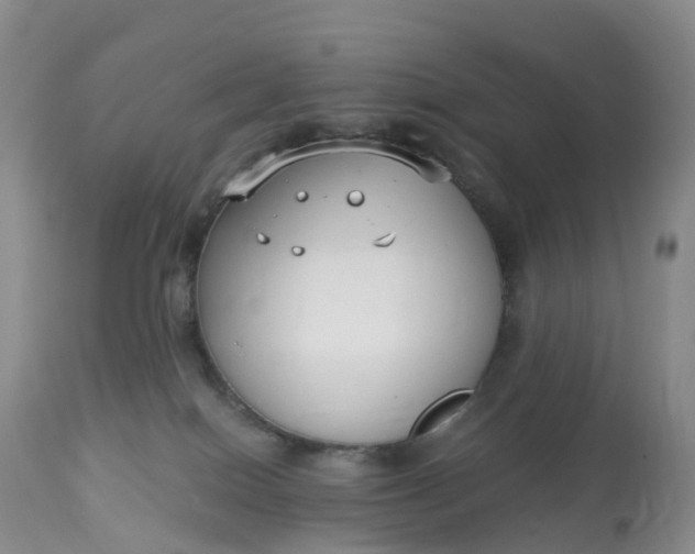 X0000113100086200909111102