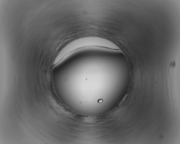 X0000113100088200909111102