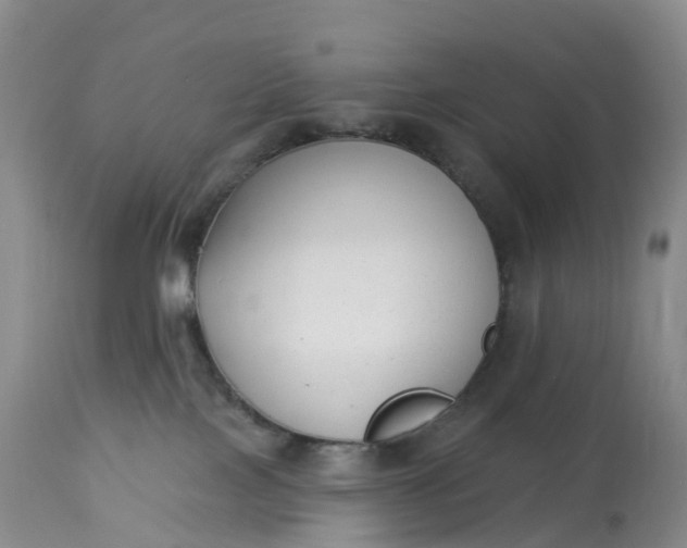 X0000113100089200909111102