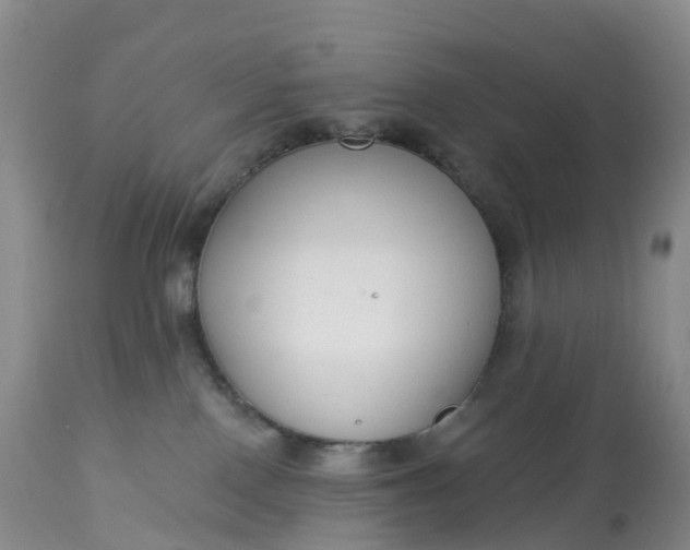X0000113100090200909111102