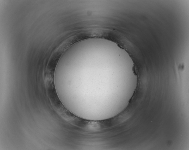 X0000113100091200909111102