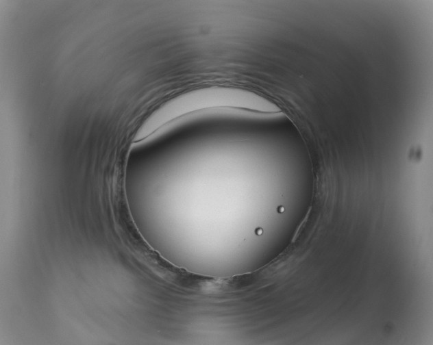 X0000113100092200909111102
