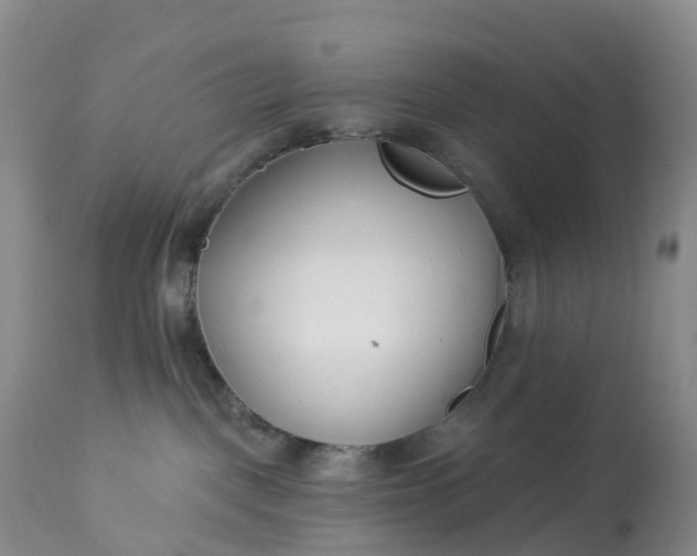 X0000113100093200909111102