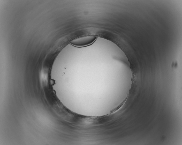 X0000113100094200909111102