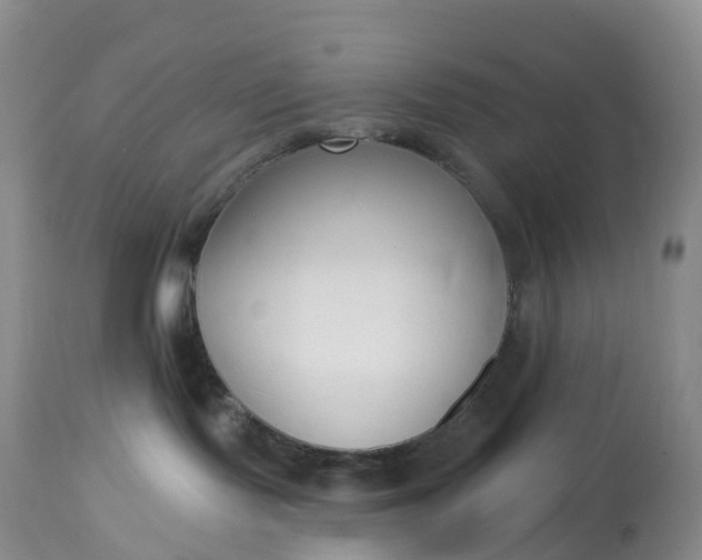 X0000113100095200909111102