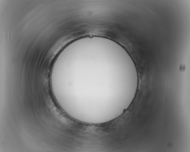 X0000113100098200909111101