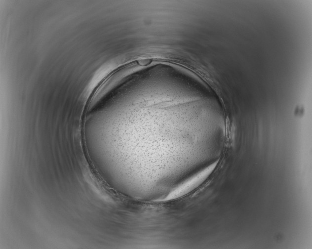 X0000113100099200909111101