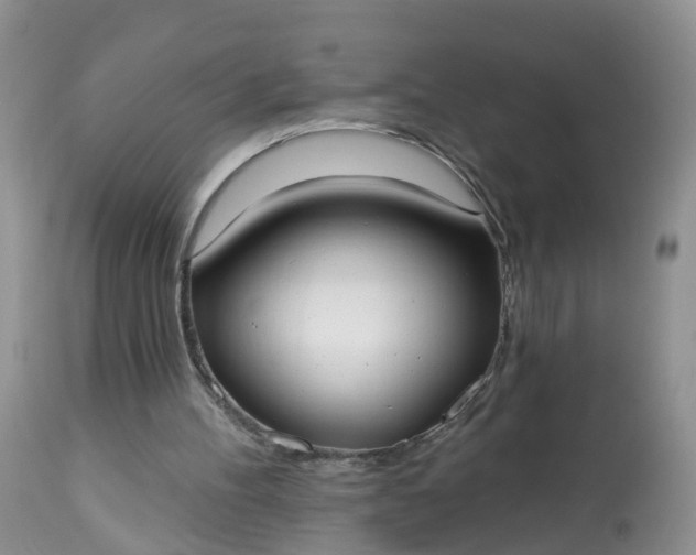 X0000113100100200909111101