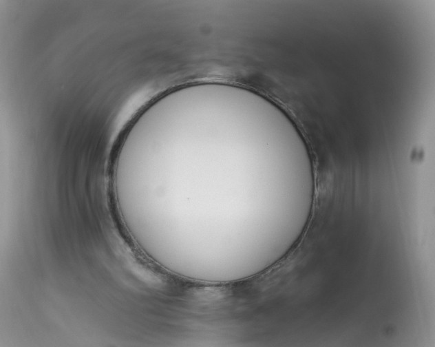 X0000113100102200909111101