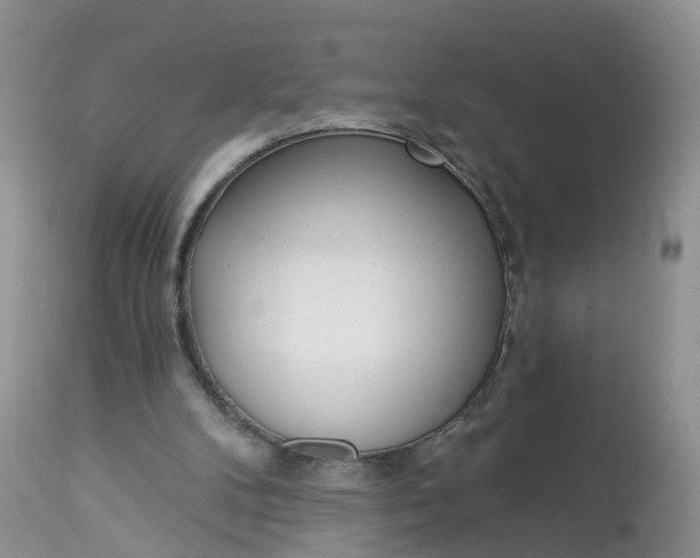 X0000113100104200909111101