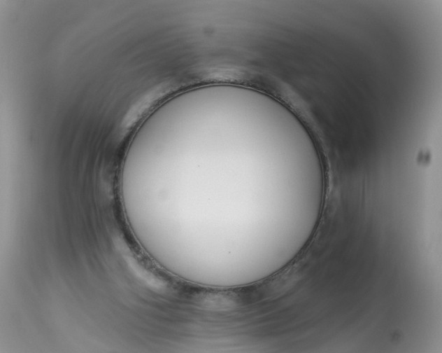 X0000113100106200909111101