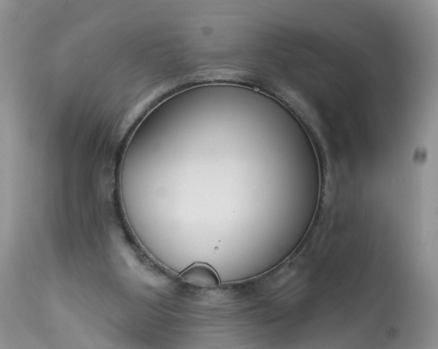 X0000113100107200909111101