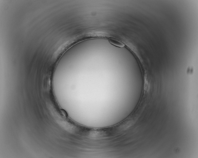 X0000113100109200909111101