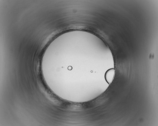 X0000113100110200909111101