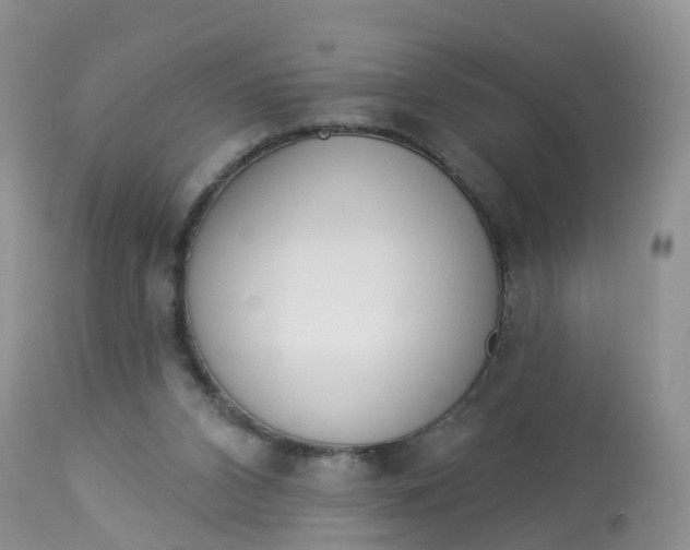X0000113100112200909111101