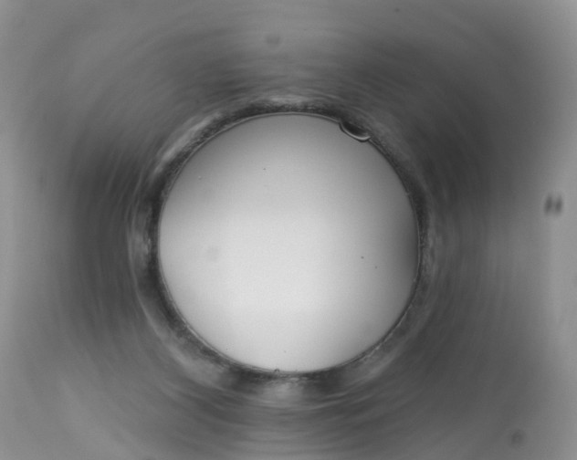 X0000113100116200909111101