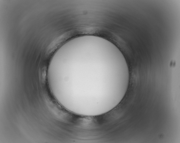 X0000113100118200909111101
