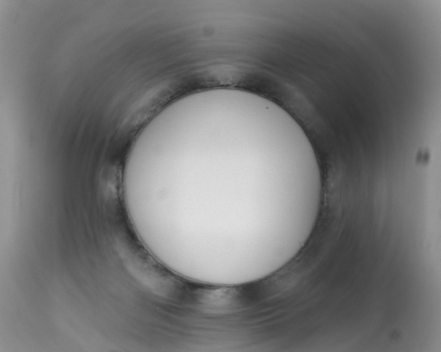 X0000113100122200909111101