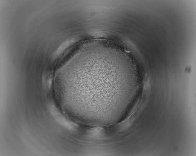 X0000113100124200909111101