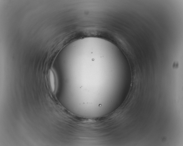 X0000113100125200909111101