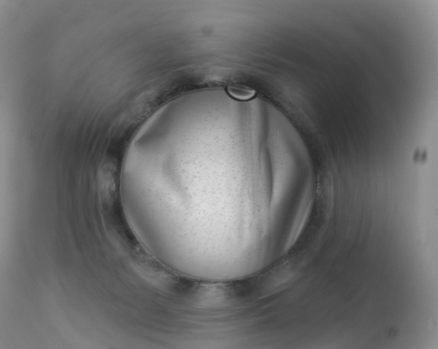 X0000113100127200909111101