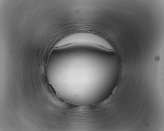 X0000113100128200909111101