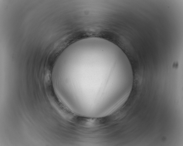 X0000113100130200909111101