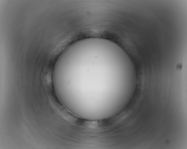 X0000113100131200909111101