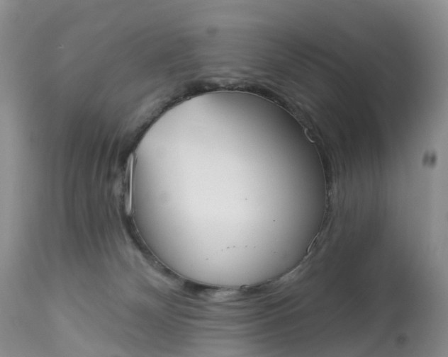 X0000113100132200909111101