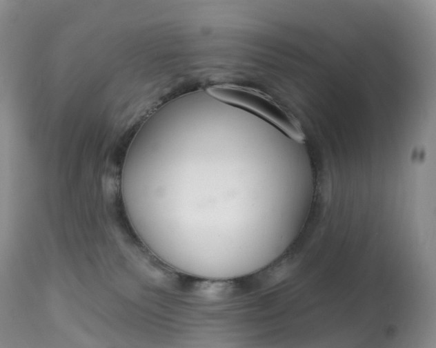 X0000113100135200909111101