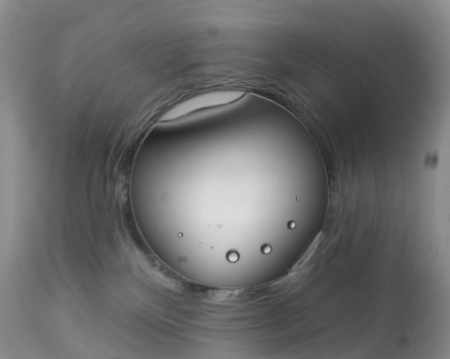 X0000113100136200909111101