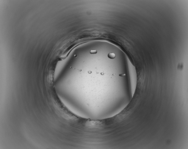 X0000113100137200909111101
