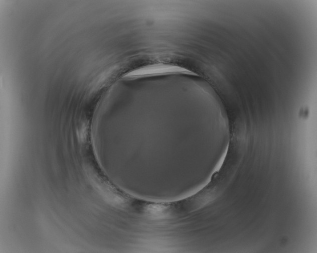 X0000113100139200909111101