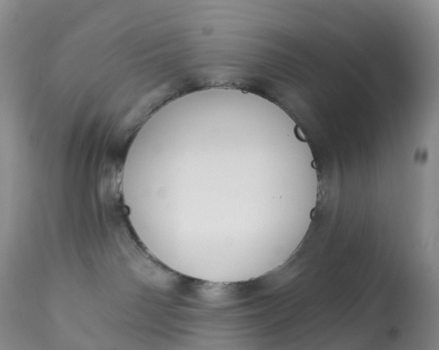 X0000113100142200909111101