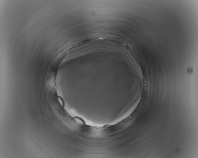 X0000113100143200909111101