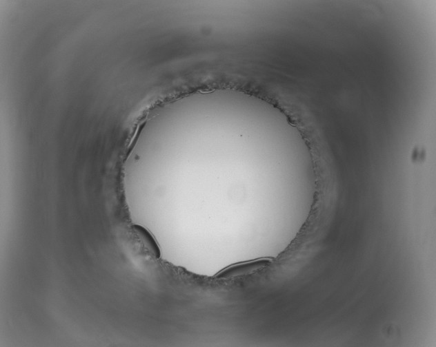 X0000113100144200909111101