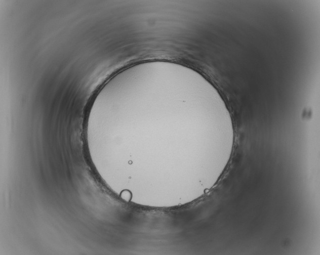 X0000113100146200909111100