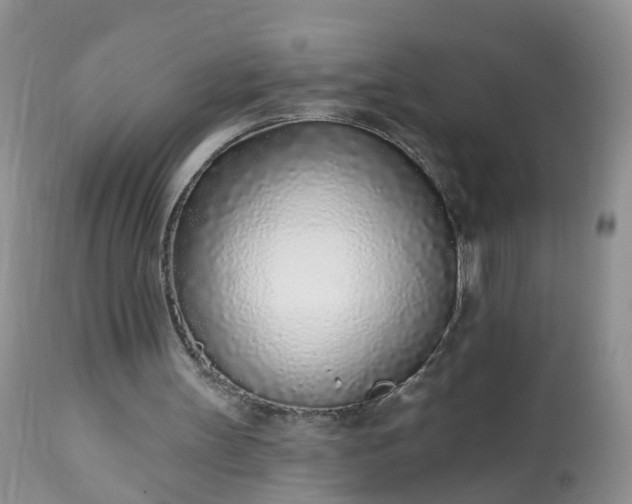 X0000113100147200909111100