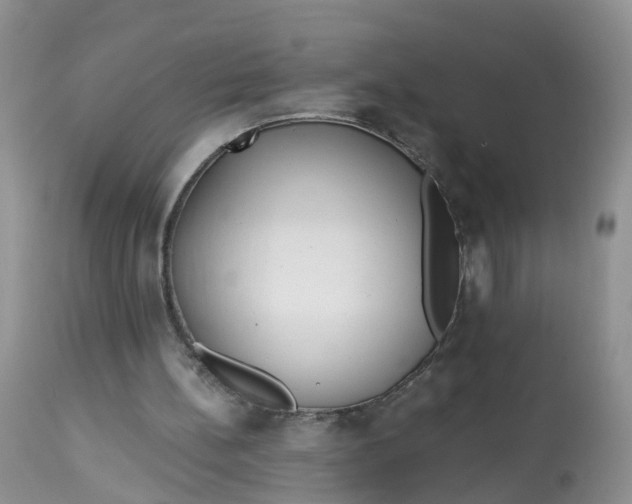 X0000113100148200909111100