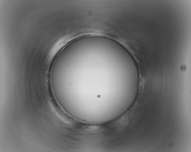 X0000113100151200909111100