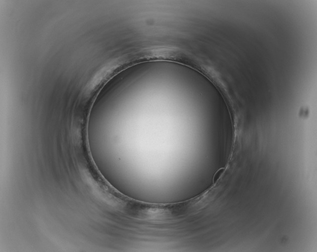 X0000113100154200909111100