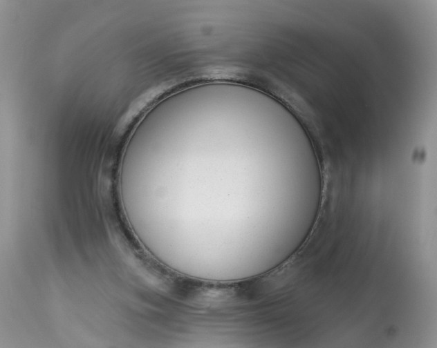 X0000113100155200909111100