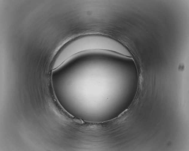 X0000113100156200909111100