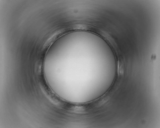 X0000113100157200909111100