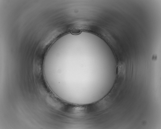 X0000113100158200909111100