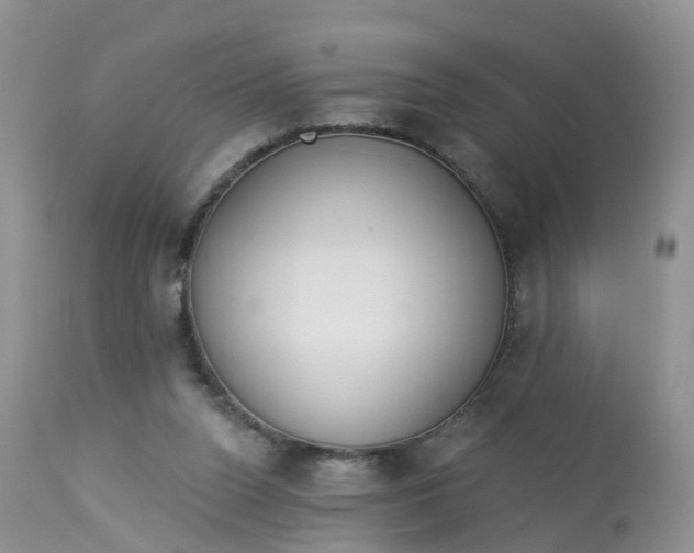 X0000113100160200909111100