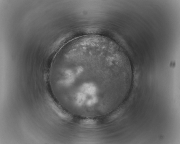 X0000113100161200909111100