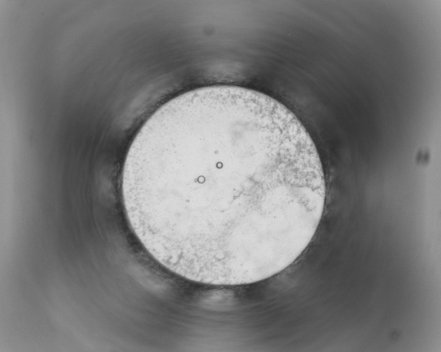 X0000113100162200909111100
