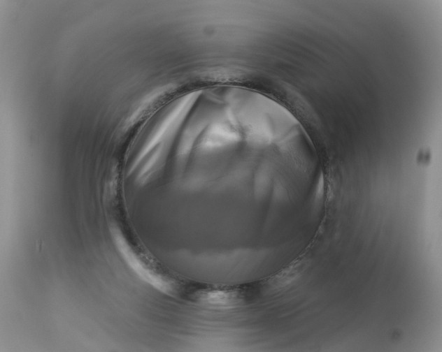 X0000113100163200909111100